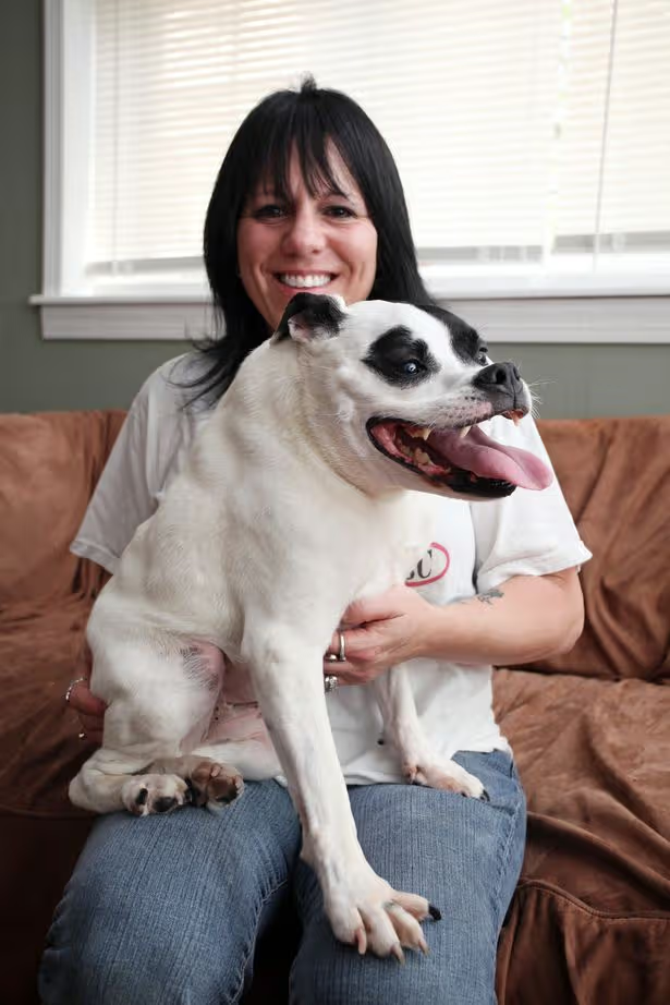 Cuda the Pitbull — real photo